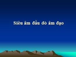 Bài giảng Siêu âm đầu dò âm đạo