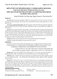 Biến cố bất lợi trên bệnh nhân u lympho không hodgkin não nguyên phát tế bào B lớn lan tỏa điều trị với Methotrexate liều cao phối hợp Rituximab tại Bệnh viện Chợ Rẫy