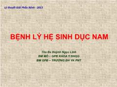 Bài giảng Bệnh lý hệ sinh dục nam - Huỳnh Ngọc Linh