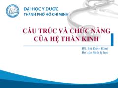 Bài giảng Cấu trúc và chức năng của hệ thần kinh - Bùi Diễm Khuê