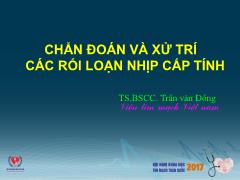 Bài giảng Chẩn đoán và xử lý các rối loạn nhịp cấp tính - Trần Văn Đồng