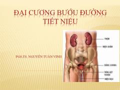 Bài giảng Đại cương bướu đường tiết niệu - Nguyễn Tuấn Vinh