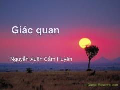 Bài giảng Giác quan - Nguyễn Xuân Cẩm Huyên