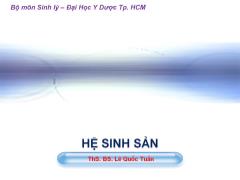 Bài giảng Hệ sinh sản - Lê Quốc Tuấn