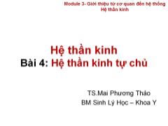 Bài giảng Hệ thần kinh - Bài 4: Hệ thần kinh tự chủ - Mai Phương Thảo