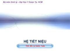 Bài giảng Hệ tiết niệu - Lê Quốc Tuấn