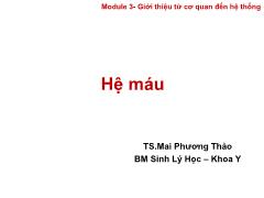 Bài giảng Module 3: Giới thiệu từ cơ quan đến hệ thống - Hệ máu - Mai Phương Thảo