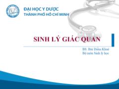 Bài giảng Sinh lý giác quan - Bùi Diễm Khuê