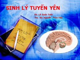 Bài giảng Sinh lý tuyến yên - Lê Quốc Tuấn