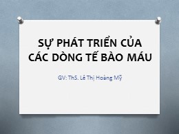 Bài giảng Sự phát triển của các dòng tế bào máu - Lê Thị Hoàng Mỹ