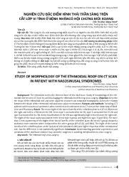 Nghiên cứu đặc điểm hình thái trần sàng trên cắt lớp vi tính ở bệnh nhâncó hội chứng mũi xoang