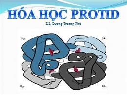 Bài giảng Hóa học Protid- Dương Trương Phú