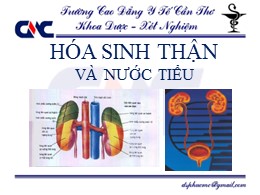 Bài giảng Hóa sinh thận và nước tiểu – Trường Cao đẳng Y tế Cần Thơ