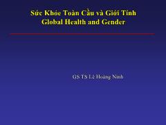 Bài giảng Sức khỏe toàn cầu và giới tính global health and gender – Lê Hoàng Ninh