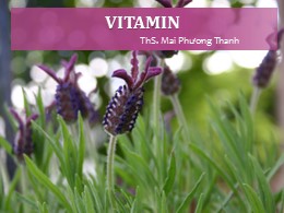 Bài giảng Vitamin - Mai Phương Thanh