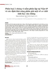 Đề tài Phân loại 2 chủng vi nấm phân lập tại Viện 69 và xác định khả năng phân giải một số cơ chất sinh học của chúng – Phùng Công Thưởng