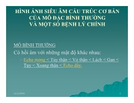 Bài giảng Hình ảnh siêu âm cấu trúc cơ bản của mô đặc bình thường và một số bệnh lý chính