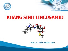 Bài giảng Kháng sinh lincosamid – Trần Thành Đạo