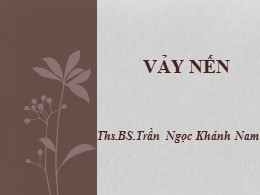 Bài giảng Vảy nến – Trần Ngọc Khánh Nam